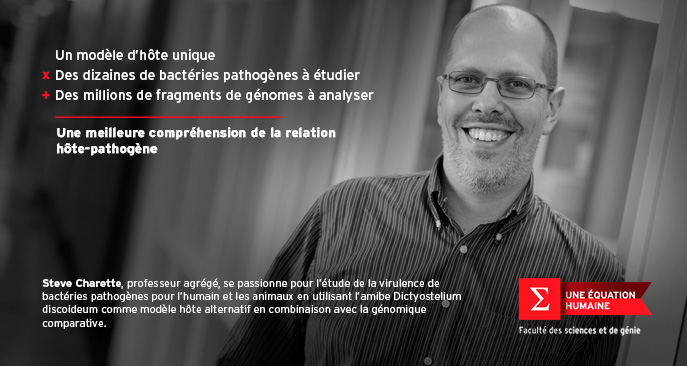 Steve Charette, professeur au Département de biochimie, de microbiologie et de bio-informatique