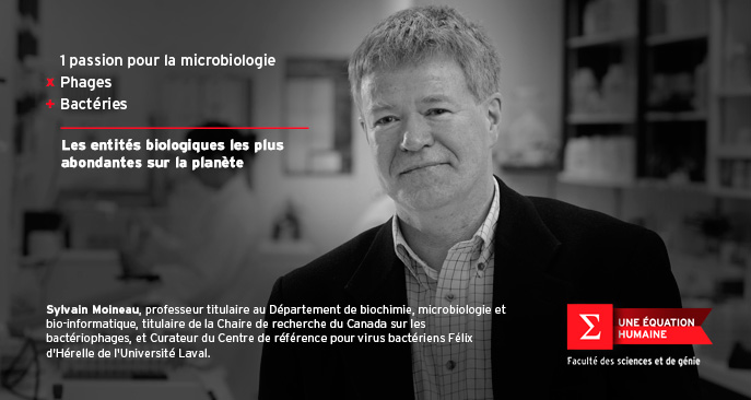 Sylvain Moineau, professeur au Département de biochimie, de microbiologie et de bio-informatique