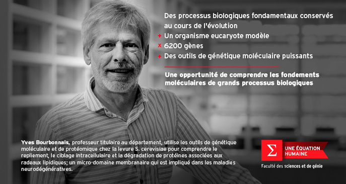Yves Bourbonnais, professeur au Département de biochimie, de microbiologie et de bio-informatique